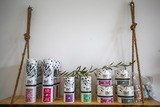 Produits oliv bio cosmetiques institut beaute