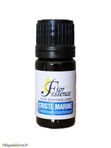 Huile Essentielle Criste Marine