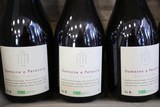 Organic Corsican wine - A Peraccia
