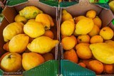 Citron Bio