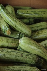 Courgettes epicerie - U Spurtellu - Patrimonio, Corse