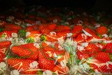 Fraises Corses