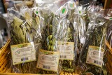 Erbe aromatiche della macchia corsa - U Spurtellu