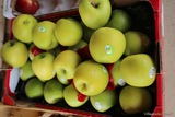 Pommes golden - Epicerie Fine U Spurtellu - Patrimonio, Corse