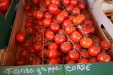 Tomates Cerises Corses