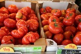 Tomates corses epicerie - U Spurtellu - Patrimonio, Corse