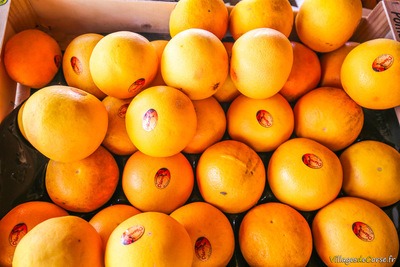 Pomelos - Epicerie Fine U Spurtellu - Patrimonio, Corse