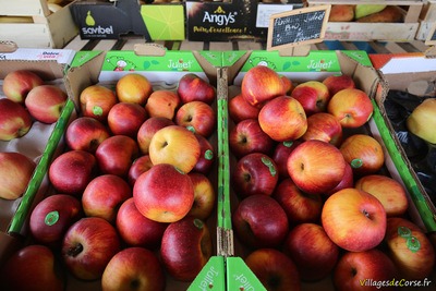 Pommes bio - Epicerie Fine U Spurtellu - Patrimonio, Corse