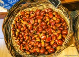 Corsican chestnuts