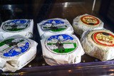 Corsican cheese