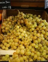 Raisin blanc - Epicerie Fine à Muvra - Zonza, Corse