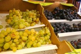 Corsican grapes