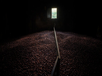 Traditioneller Kastanientrockner - Herstellung von Battaglia Kastanienmehl in Vallecalle auf Korsika