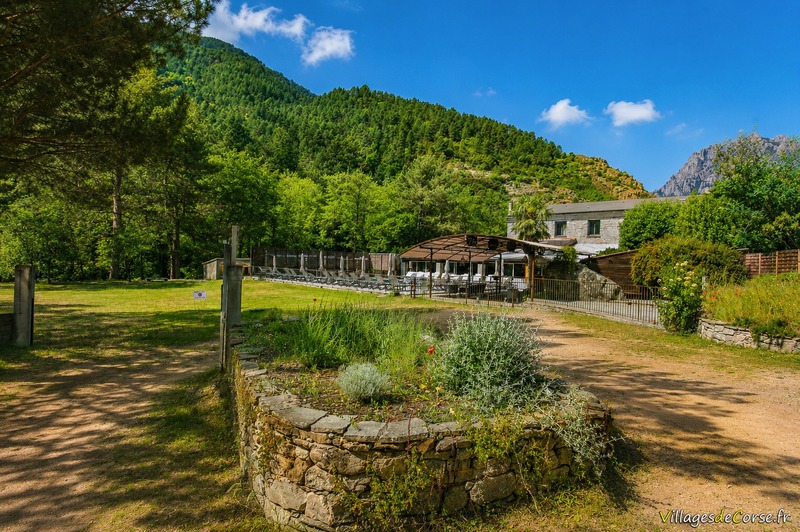 Pool at the foot of the mountains - Auberge de la Restonica in Corte