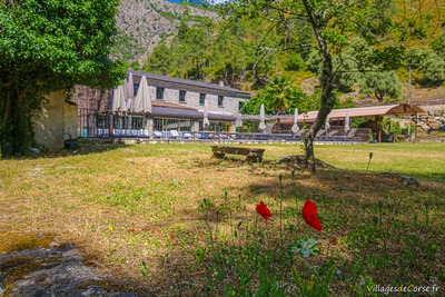  - Auberge de la Restonica - Corte, Korsika