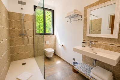 Air-conditioned room - Auberge de la Restonica Hotel in Corte