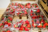 Fraises corses Groceries Tisori Nostri Ajaccio