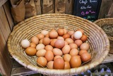 Oeufs frais Groceries Tisori Nostri