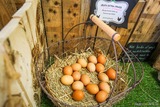 Oeufs frais Groceries Tisori Nostri