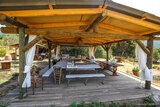 Wedding reception