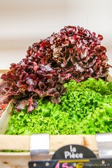 Salade corse Groceries Tisori Nostri Ajaccio