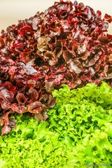 Salade corse Groceries Tisori Nostri Ajaccio