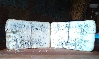 Farmhouse goat blue cheese