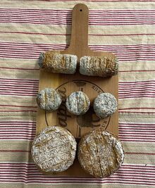 Artisanal goat cheese crottin - Capra farm production