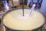 Riscaldamento del siero di latte per la produzione di Brocciu