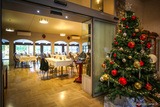 Sapin de Noël dans l'hôtel - Hôtel Chez Walter à Lucciana