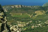 Patrimonio Casa Albina Corsica