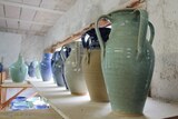 Vases with handle