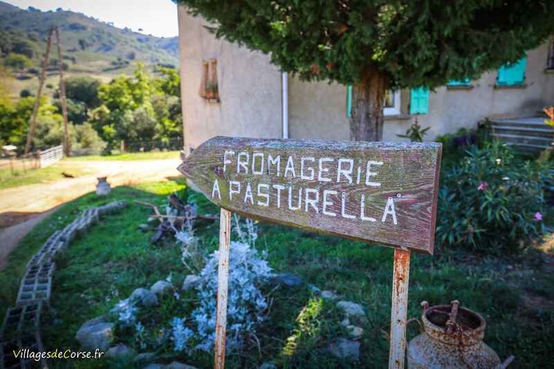 A Pasturella Corsican Cheese Factory