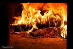 Pizze cotte a legna casamozza lucciana
