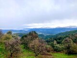 Winter view of the restaurant - I Fratelli in Rapale, Corsica.