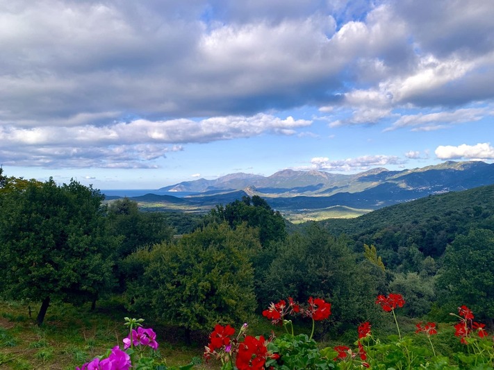 Restaurant I Fratelli - Rapale, Corse