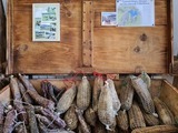 Corsican Charcuterie