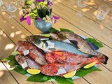 Capone merou e branzino in pesce del giorno - Ristorante U Palmentu - Centuri, Corsica