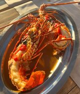 Aragosta di Centuri - Ristorante U Palmentu - Centuri, Corsica