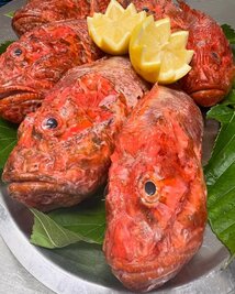 Chapon - Ristorante U Palmentu - Centuri, Corsica