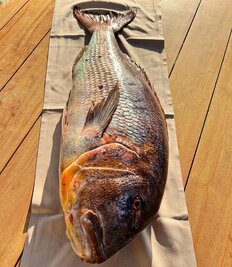 Catch of the day fish: chapon, denti, corbe - U Palmentu in Centuri
