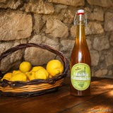 Artisanal Corsican kombucha - A Casarella Restaurant in Pigna