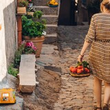 Local products - Restaurant A Casarella - Pigna, Corsica