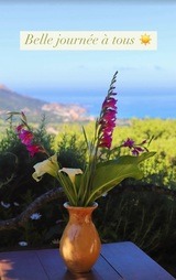 Restaurant vue mer - A Casarella - Pigna, Corse