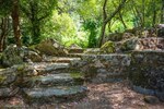 L'ambiente naturale del ristorante
