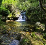 Fiume