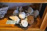 Pumice stone