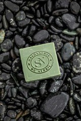 Handmade soap from Corsican larricio pine