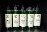 Savon liquide au pin laricio - Savonnerie du Nebbiu à Patrimonio