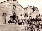 Usine Distillerie L.N. Mattei Cap Corse